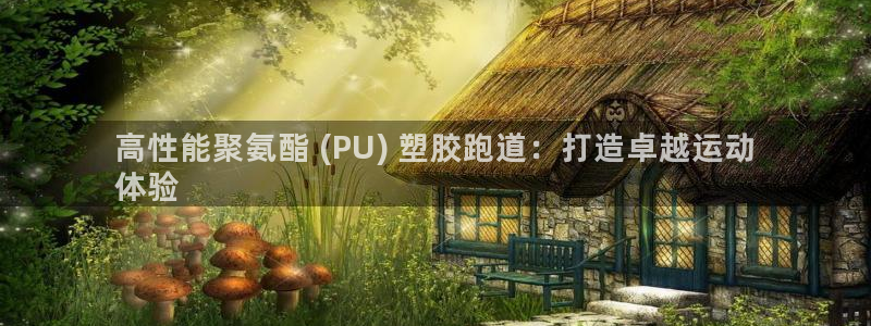 尊龙人生就是博旧版手机可靠送38元：高性能聚氨酯 (PU) 